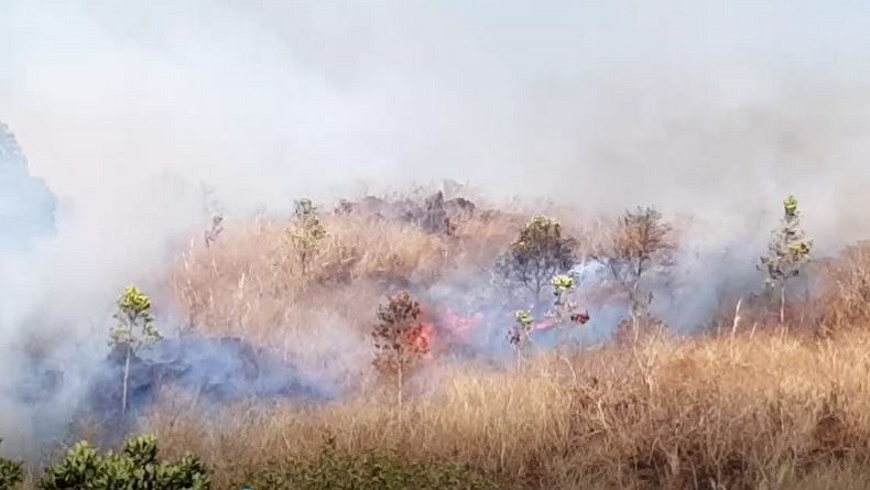 Kebakaran Hutan Di Gunung Ciremai Capai Hektare Dalam Hari