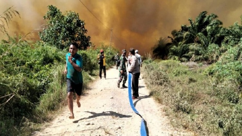 Diduga Cuaca Panas Hektare Lahan Gambut Di Nagan Raya Terbakar