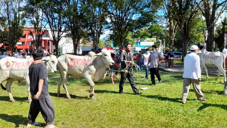 Kapolda Sulut Serahkan Hewan Kurban Kepada Panitia Idul Adha Di Manado