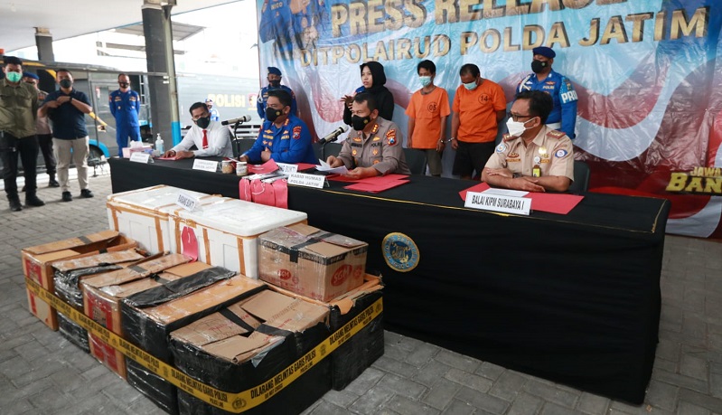 KKP Gagalkan Penyelundupan Benih Lobster Motif Baru Senilai Rp3 9 Miliar