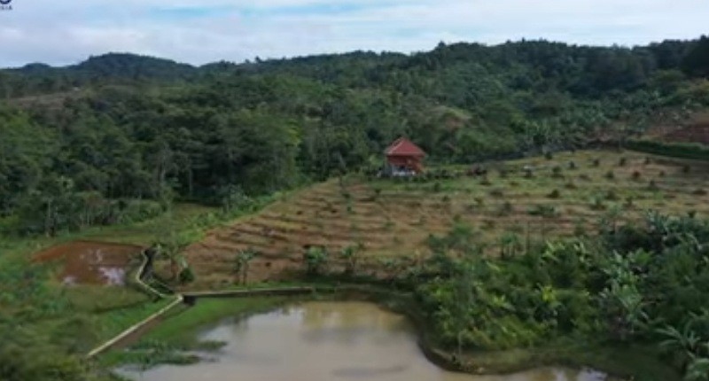 Kampung Unik Di Sukabumi Singgah Ke Desa Penghasil Tanaman Langka