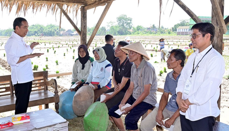 Jokowi Dorong Petani Mulai Tanam Padi Maret Atau April Panen