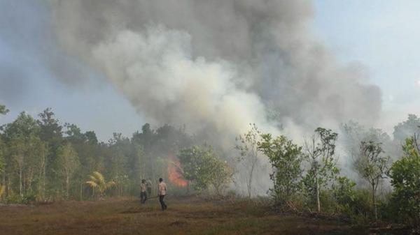 Kabut Asap Mulai Selimuti Palangkaraya Akibat Maraknya Kebakaran Lahan