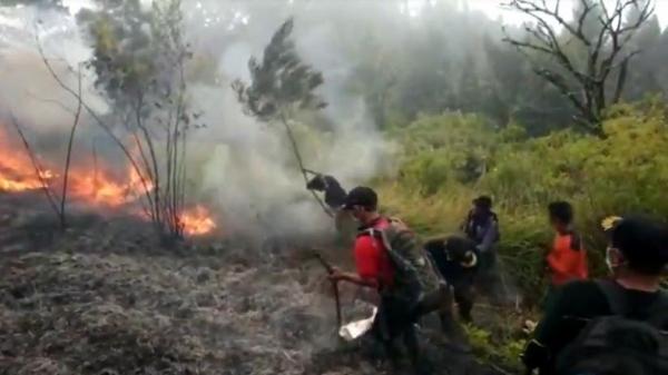 Kebakaran Hutan Terjadi Di Gunung Bawakaraeng Sulsel Pemadaman Pakai