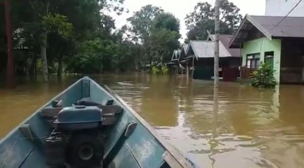 Banjir Di Katingan Meluas Total Desa Terendam