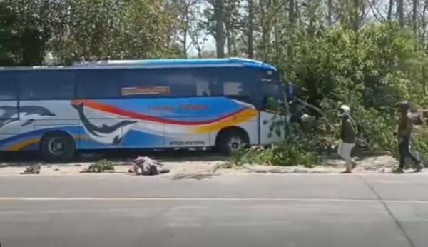 Bus Sugeng Rahayu Tabrak Pemotor Dan Truk Di Madiun Orang Tewas