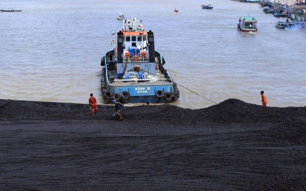 Duh Pantai Peunaga Pasi Di Aceh Barat Tercemar Tumpahan Batu Bara