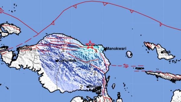 Gempa Terkini Magnitudo 4 8 Guncang Manokwari