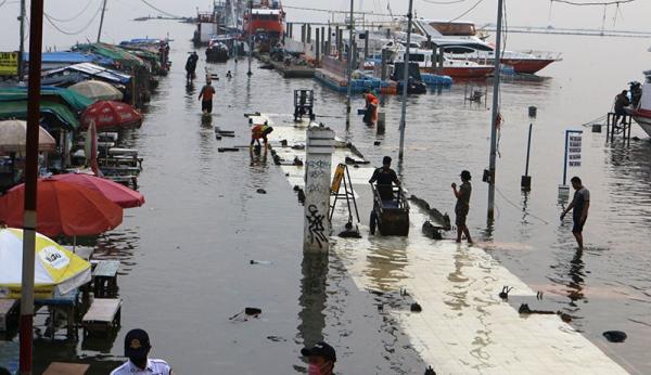 Waspada Banjir Rob Diprediksi Terjang Pesisir Lampung