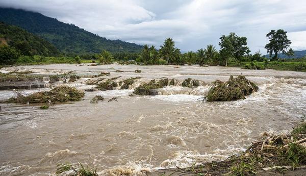 Ratusan Hektare Sawah Tergenang Jembatan Putus Akibat Banjir Di Sigi