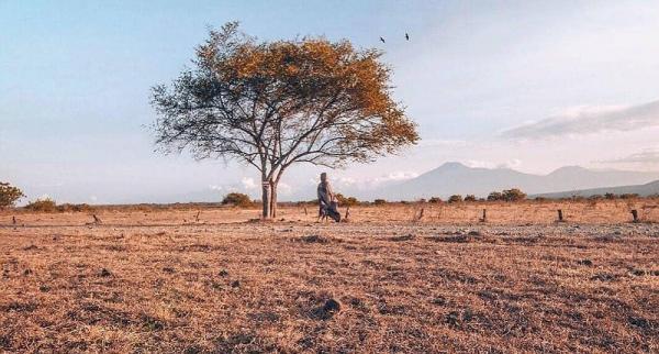 Taman Nasional Tertua Di Indonesia Surganya Flora Dan Fauna Ada Yang