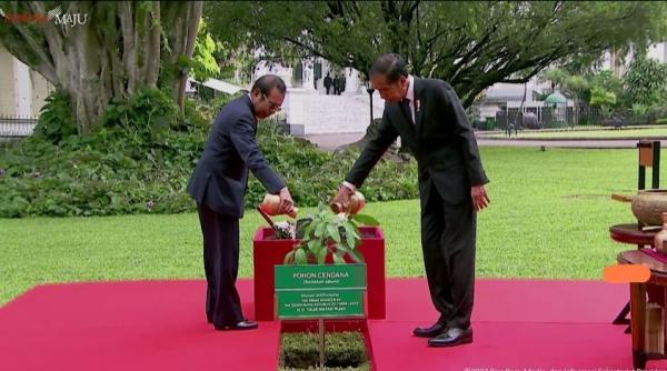 Presiden Jokowi Terima Pm Timor Leste Tanam Pohon Cendana Di Istana Bogor