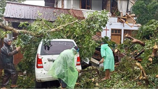 Hujan Deras Dan Angin Kencang Di Sulut Sejumlah Pohon Bertumbangan