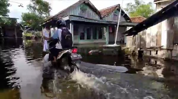 Desa Di Lamongan Terendam Banjir Luapan Sungai Bengawan Solo