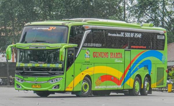 Jadi Pemilik Bus Tronton Terbanyak Ini Deretan Sasis Premium PO Gunung