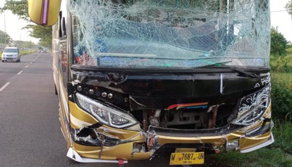 Kronologi Kecelakaan Bus Jemaah Haji Di Bangkalan Tabrakan Saat