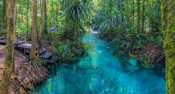 Surga Tersembunyi Di Raja Ampat Singgah Ke Kampung Warsambin