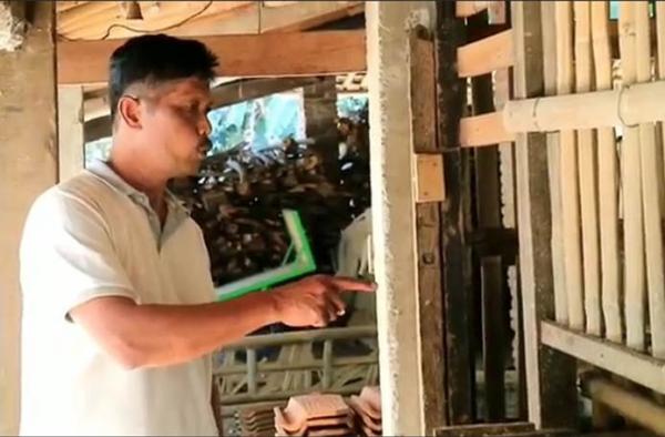 12 Kambing Milik Petani Kebumen Raib Dibawa Kabur Pencuri