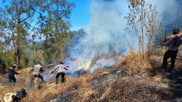 Karhutla Di Gunung Arjuno Pemkab Malang Dan Pasuruan Tetapkan Status