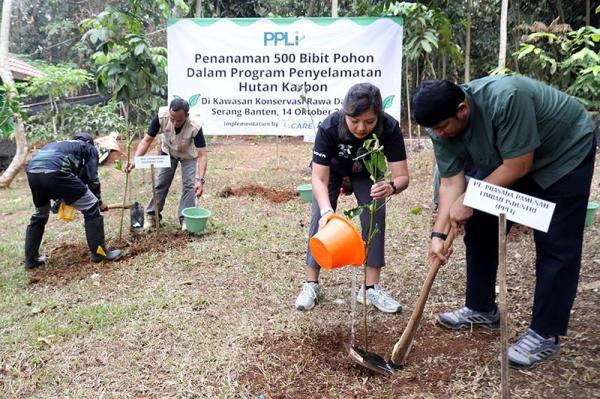 Penanaman 500 Bibit Pohon Dalam Program Penyelamatan Hutan Karbon