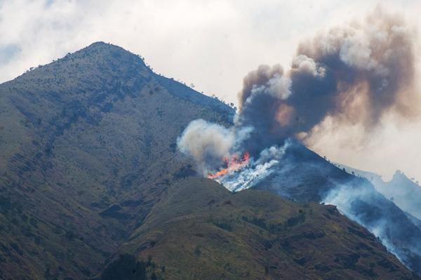 489 Hektare Lahan Gunung Merbabu Ludes Dilahap Api