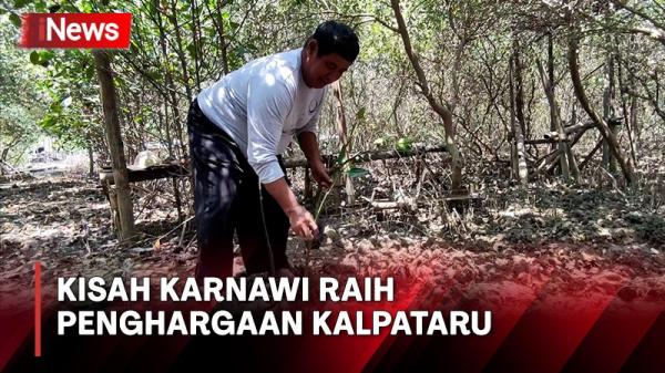 Kisah Karnawi Raih Penghargaan Kalpataru Dulu Dihujat Karena Tanam