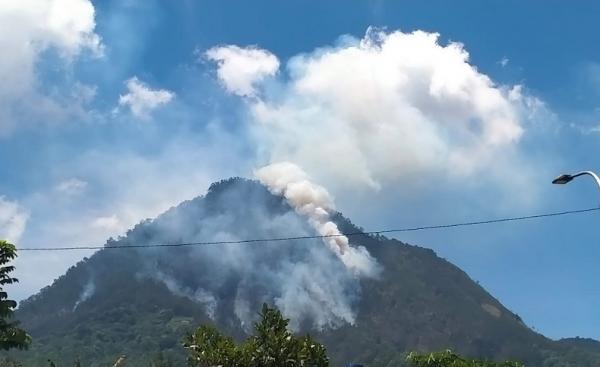 Kebakaran Gunung Panderman Batu Belum Padam Api Meluas Hingga 29 Hektare