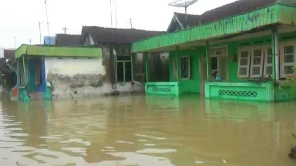 Sungai Bengawan Solo Meluap Desa Di Bojonegoro Banjir