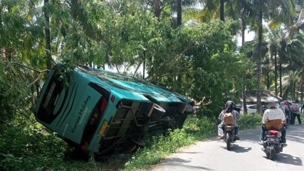 Kecelakaan Di Lebak Bus Pariwisata Bawa Penumpang Terguling Di