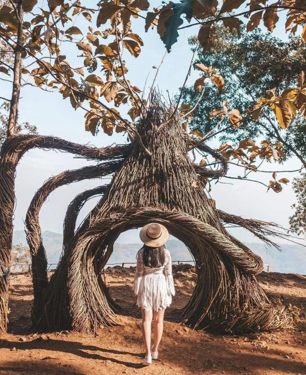 Yuk Healing Ke Hutan Pinus Jogja Yang Instagramable Baget