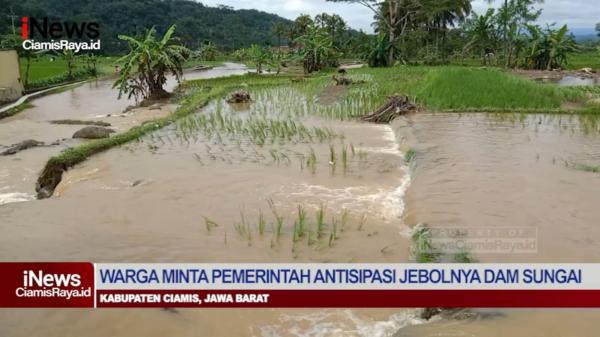 VIDEO Lahan Pesawahan Terendam Banjir Petani Di Cihaurbeuti Ciamis