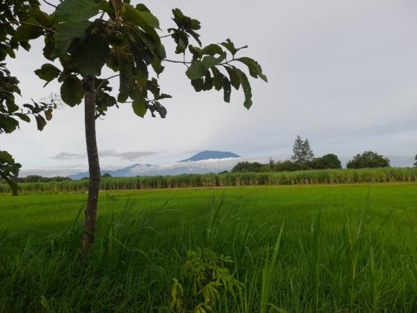 Prakiraan Cuaca Untuk Wilayah Ciamis Dan Sekitarnya Hari Ini Jumat 23