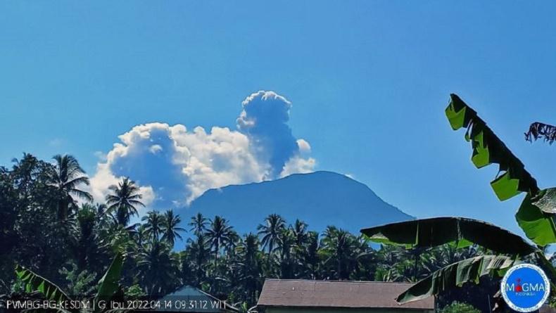 Gunung Ibu Di Pulau Halmahera Erupsi Semburkan Kolom Abu Setinggi 800