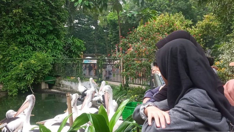 Asyik Kebun Binatang Ragunan Tambah Fasilitas Perpustakaan Buat