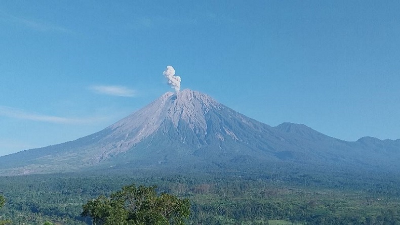 Gunung Semeru Erupsi Hari Ini Tinggi Kolom Abu Meter Di Atas