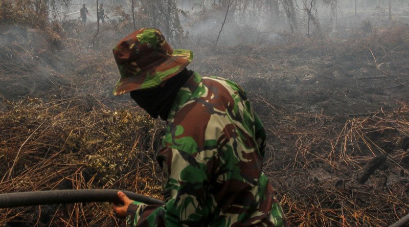 Titik Panas Terdeteksi Di Kaltim Tersebar Di Kabupaten