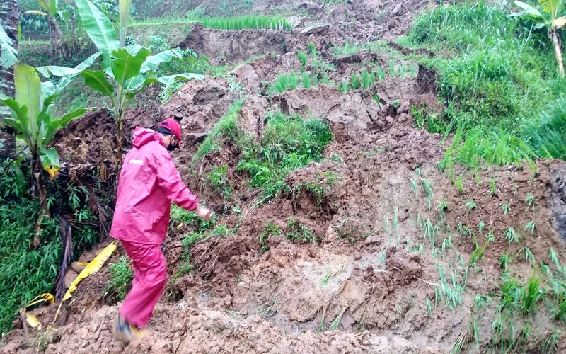 Fenomena La Nina Diprediksi Picu Bencana Warga Kbb Diimbau Waspada