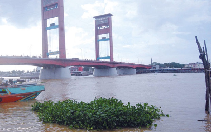 Sungai Musi Belum Bebas Dari Alat Setrum Dan Racun