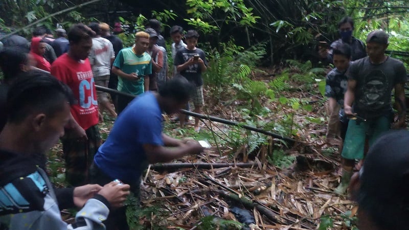 Geger Kerangka Manusia Tergeletak Di Hutan Ireng Ireng Lumajang