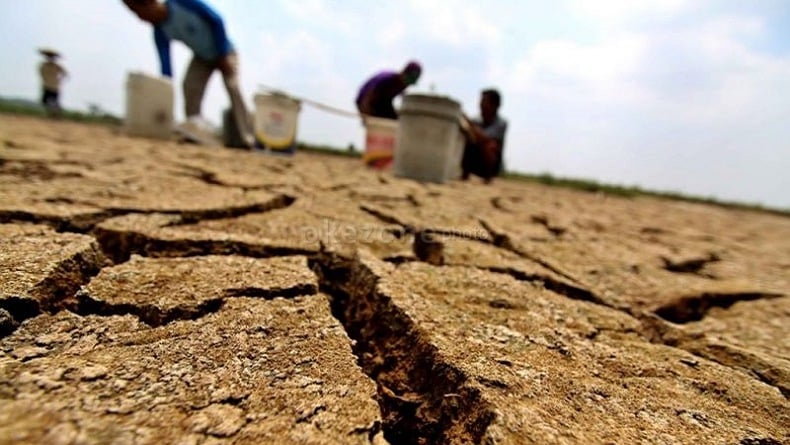 Petani Purwakarta Hadapi Ancaman Kemarau Panjang Akibat El Nino