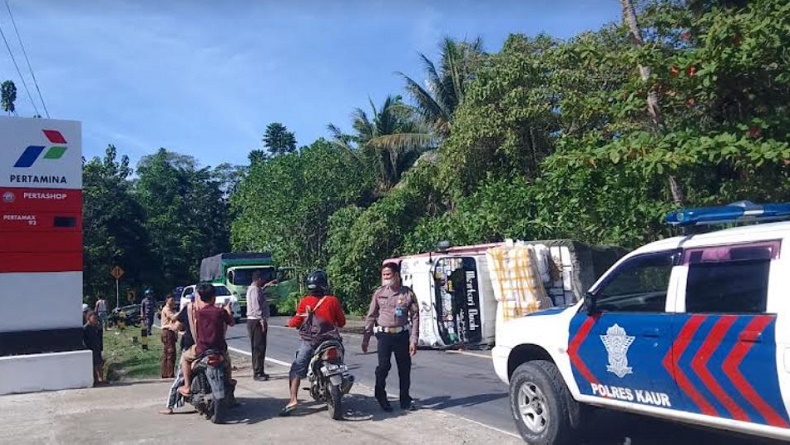 Kecelakaan Di Jalinbar Bengkulu Lampung Truk Terbalik Gegara Hindari Sapi