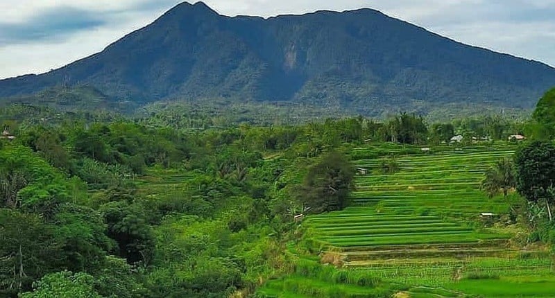 Fakta Koto Tinggi Nagari Elok Di Sumatera Barat Yang Pernah Jadi Ibu