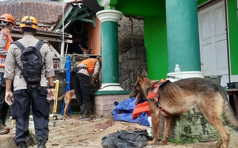 Petugas Fokus Cari Korban Hilang Longsor Gempa Cianjur Di Titik