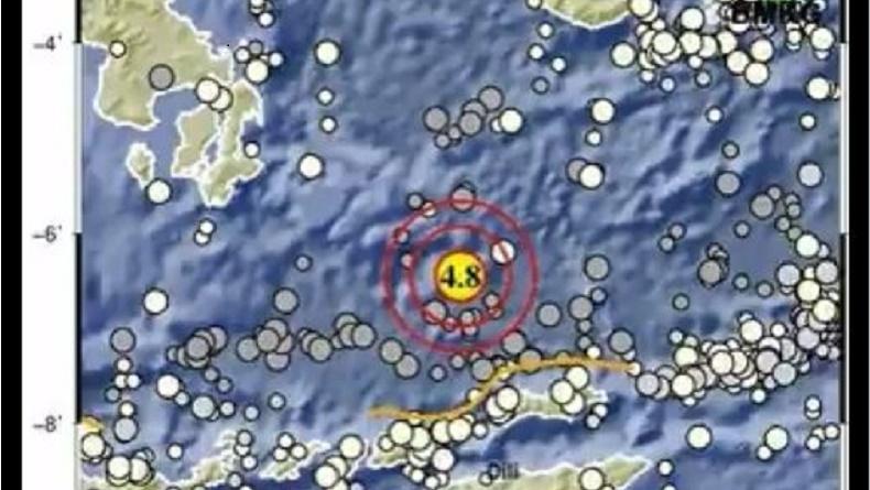 Gempa Terkini Magnitudo 4 8 Guncang Alor NTT