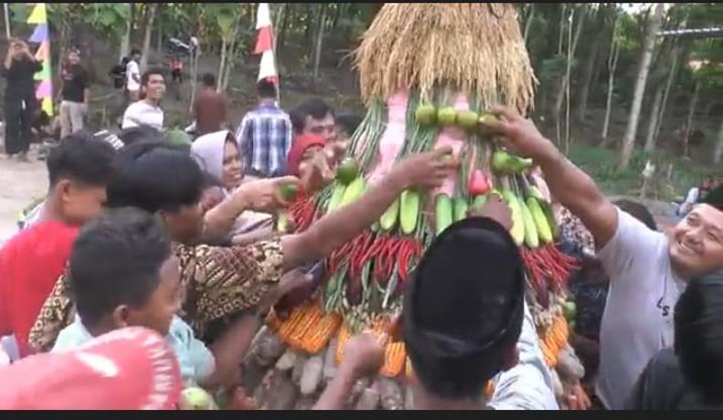 Tradisi Sedekah Bumi Puluhan Warga Grobogan Berebut Gunungan