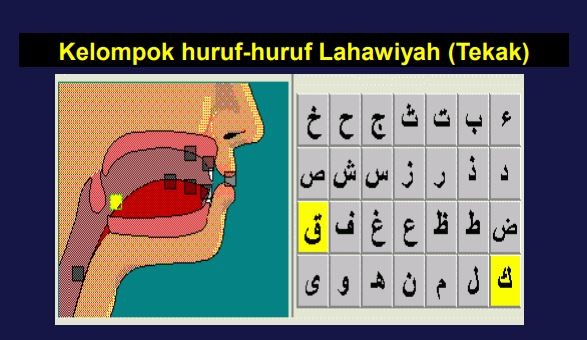 Pengertian Huruf Lahawiyah Jumlah Makhraj Dan Sifatnya Dalam Ilmu Tajwid