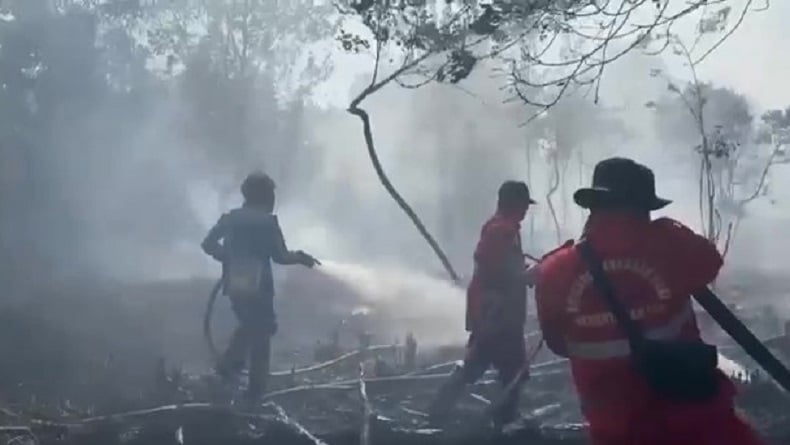 Kebakaran Lahan Semakin Meluas Di Palangkaraya Kobaran Api Dekati