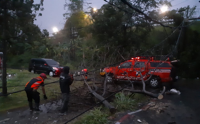 Hujan Angin Landa Kota Bogor BPBD Ada 13 Kejadian Bencana