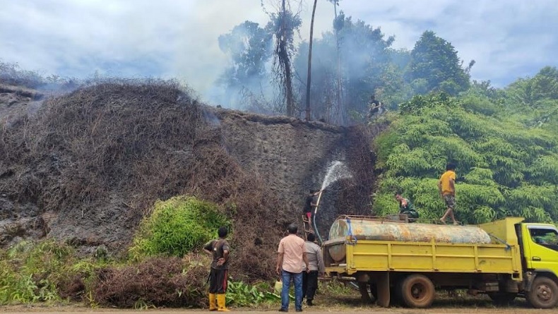 Gara Gara Bocah Bakar Sampah Bukit Di Kolaka Utara Hangus Terbakar