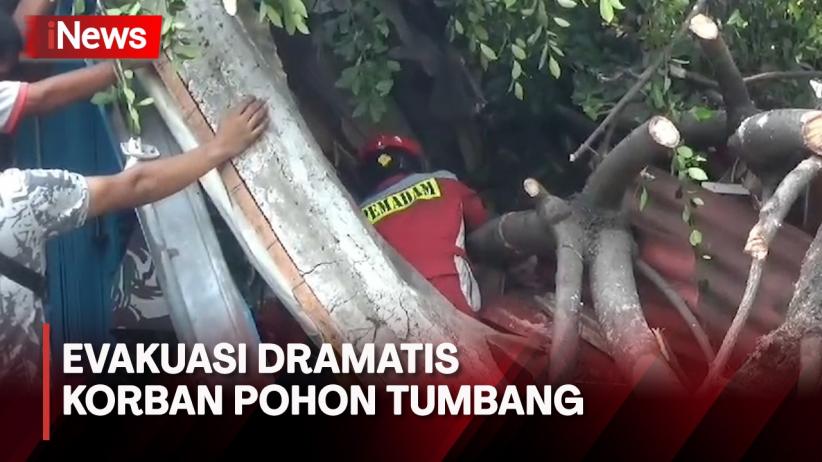 Dramatis Tim Sar Evakuasi Pengemudi Mobil Tertimpa Pohon Tumbang Di Solo